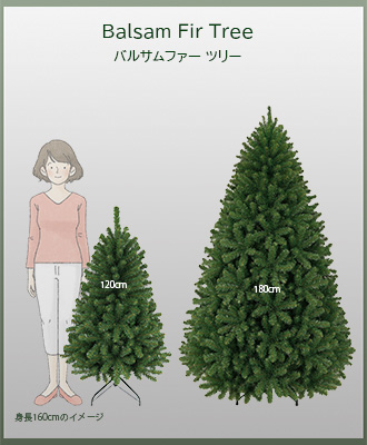 サイズイメージ